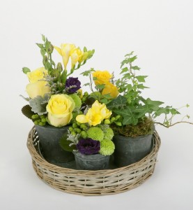 Flowers and plants in little pots on a tray