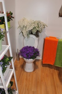 Plants in the toilet