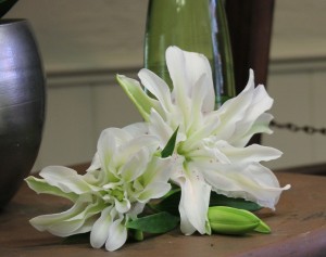 Roselily - a new variety of lily with many petals