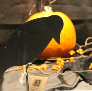 Tin Crow in front of pumpkin