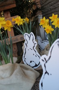 Bunnies beyond the fence