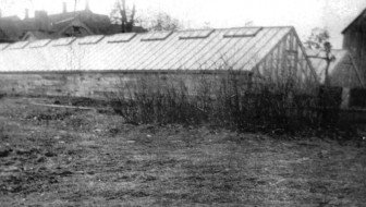 Martin's Greenhouse