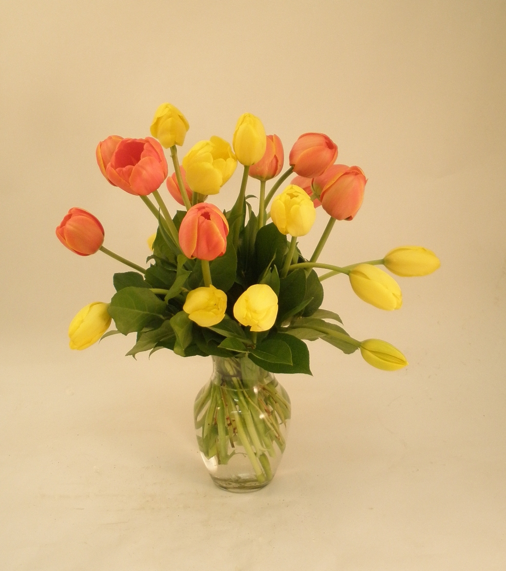 Spring Tulips on sale for January
