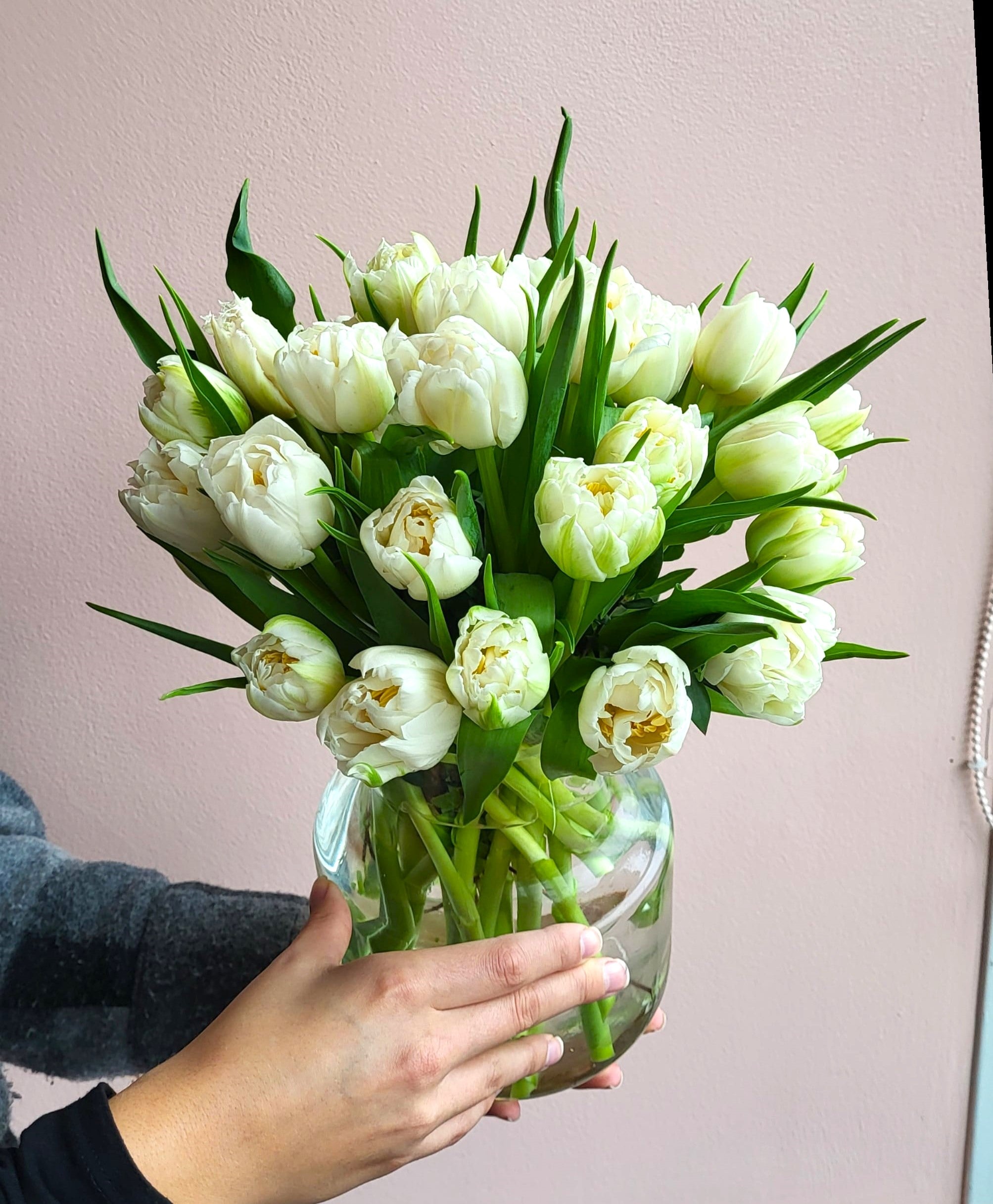 Classic Tulips